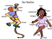 September Science for preschool kids – 
Parts Of The Body Poster