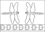 Dragonfly Worksheet, trace the D's color the picture