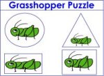 Grasshopper Shape Puzzle