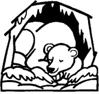 Preschool January curriculum Science for kids – Bear hibernating craft