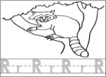 Letter R Raccoon Writing & Coloring Page