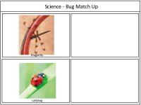 Bug Match Up Game
