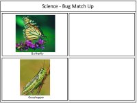 Science For Kids Bug Match Up Activity
