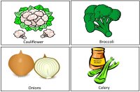 Vegetable cards for vegetable lesson plans