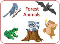 March Preschool Curriculum Forest Animals Theme Poster