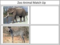 Zoo Animals Match Up