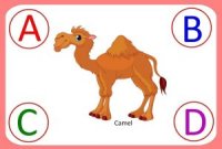Zoo theme animal letter match up