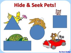 Hide n seek pets